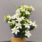 flores de gardenia jasminoides