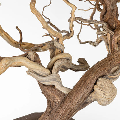 Jines tortuosos naturales.