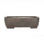 Maceta Bonsái Rectangular Sin Esmaltar 38 cm - Yamaaki Tokoname