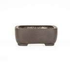 Maceta Bonsái Rectangular Sin Esmaltar 38 cm - Yamaaki Tokoname