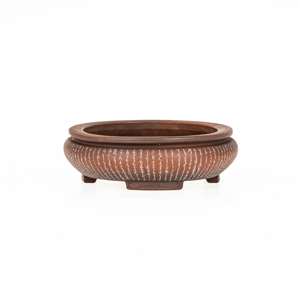 Maceta Bonsái Ovalada Sin Esmaltar 34 cm - Izumi-ya Tokoname