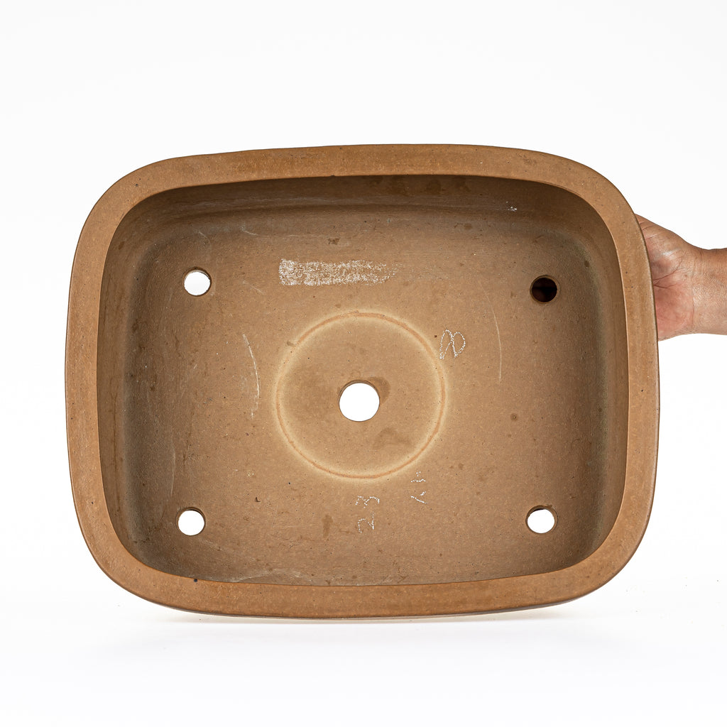 Maceta Bonsái Rectangular Sin Esmaltar 40,5 cm - Izumi-ya Tokoname