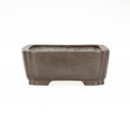 Maceta Bonsái Rectangular Sin Esmaltar 47,5 cm - Keizan Tokoname