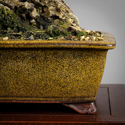 Detalle de maceta Eimei