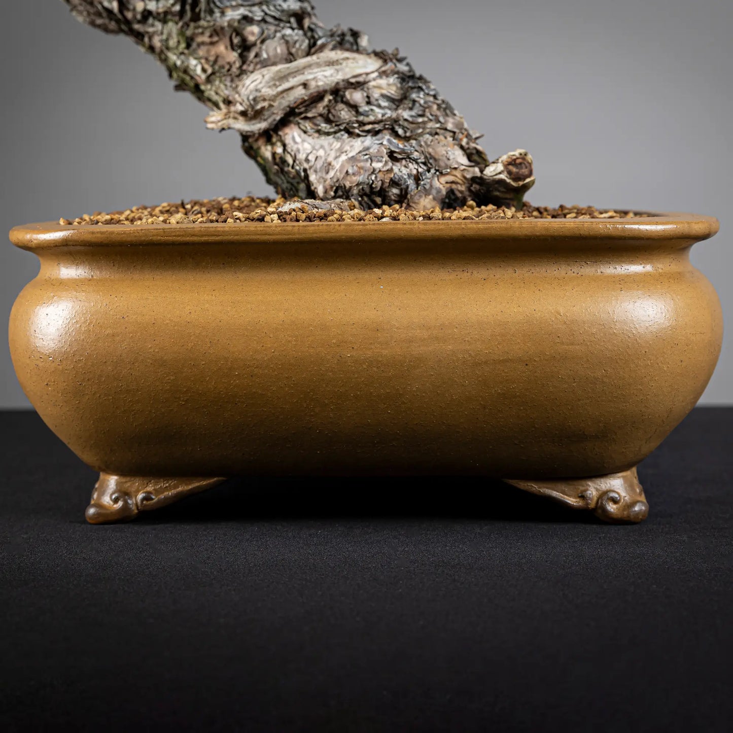 Detalle de maceta japonesa hokidou