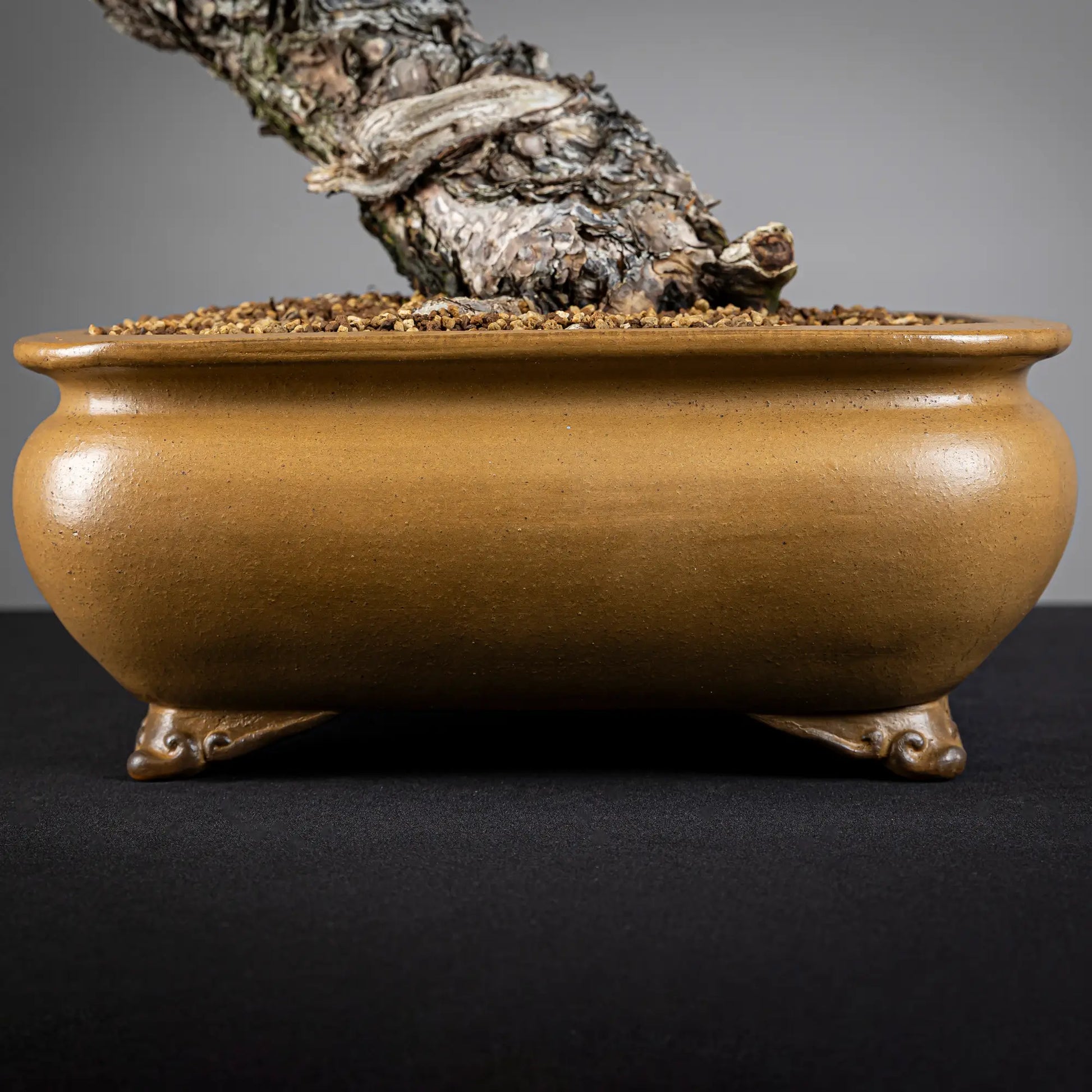 Detalle de maceta japonesa hokidou