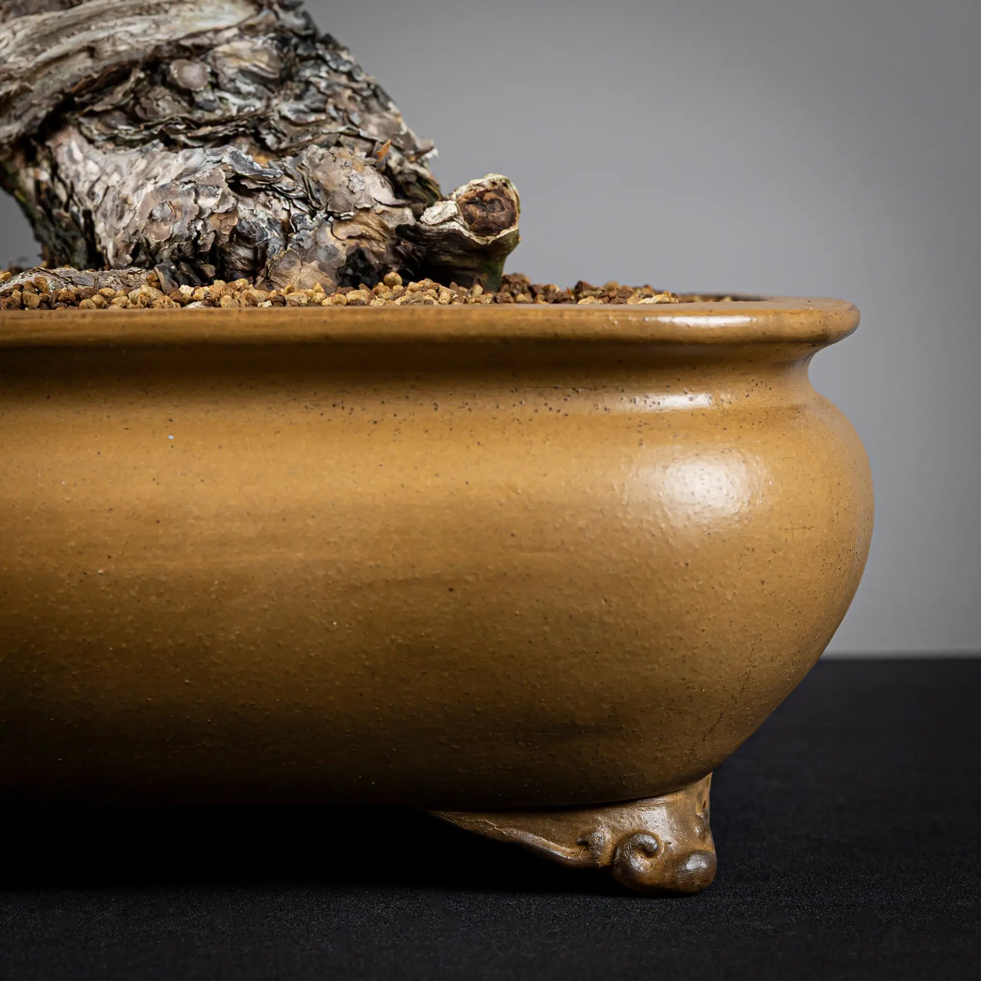 Detalle de maceta Tokoname Hokidou