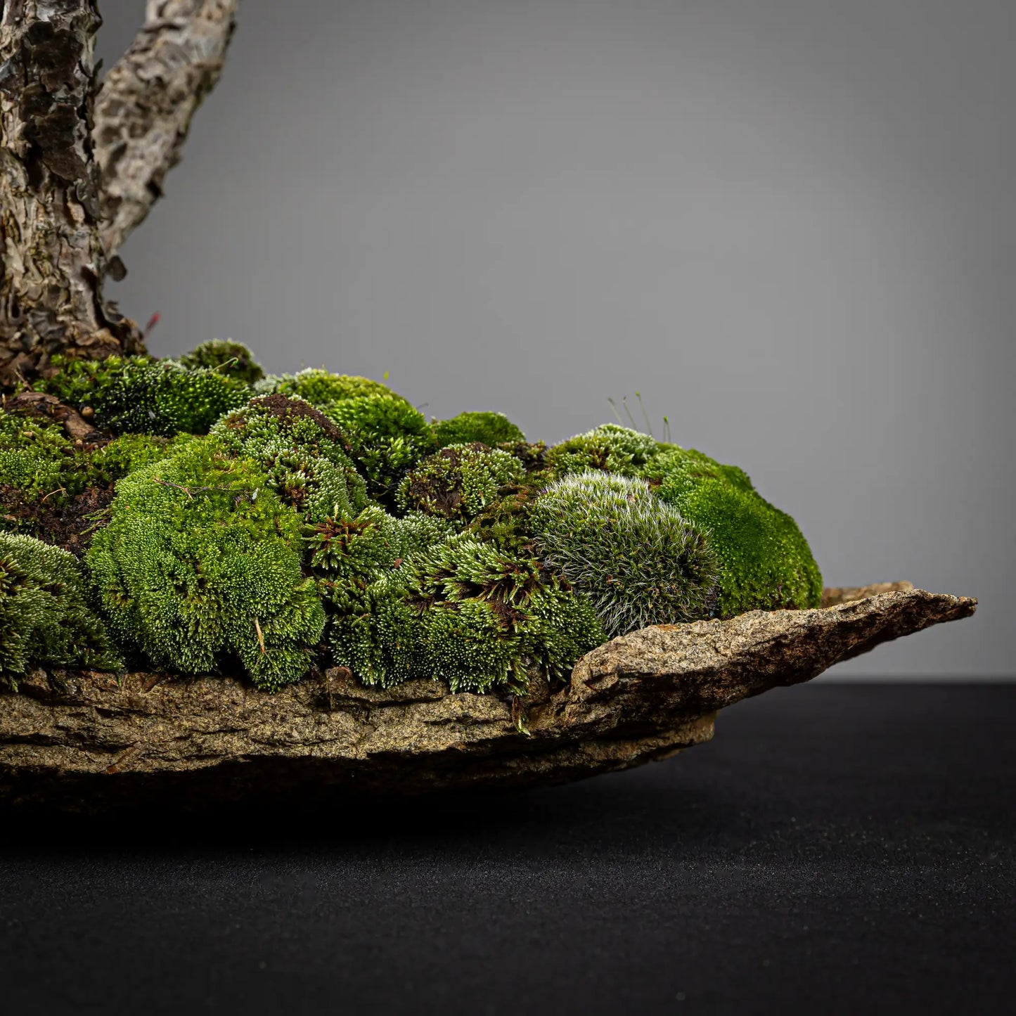 Detalle de kurama natural de granito capeado