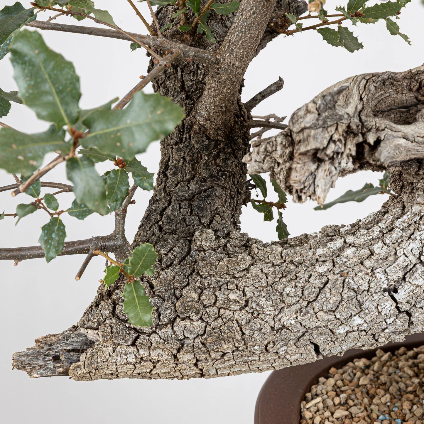 Detalle de codo o curva