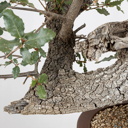 Detalle de codo o curva