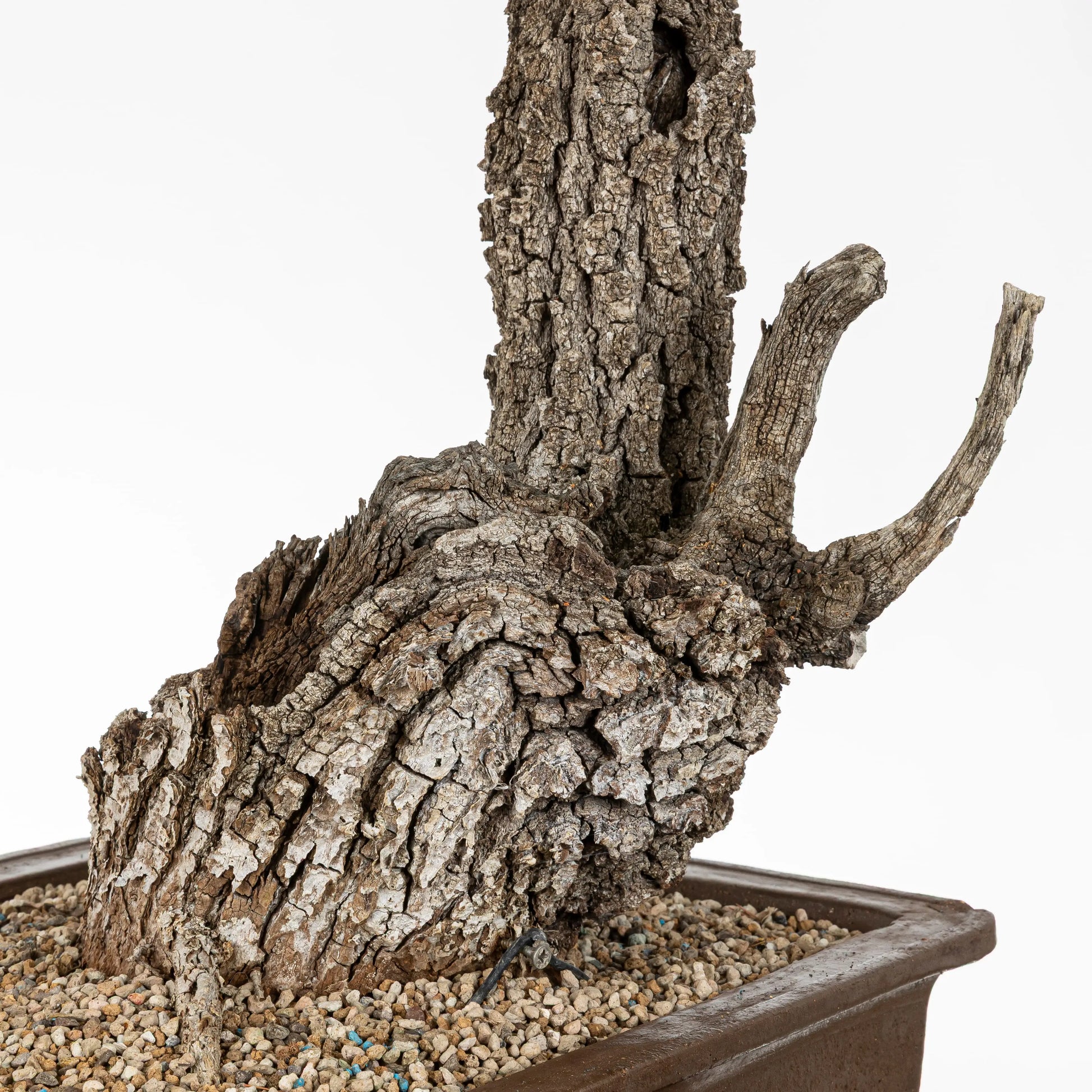 Detalle de la base ancha con dos jines