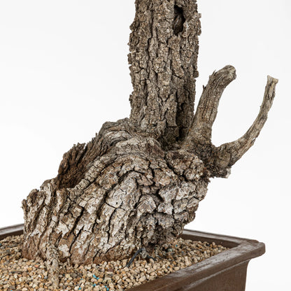 Detalle de la base ancha con dos jines