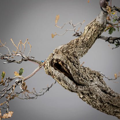 Detalle de curva con hueco